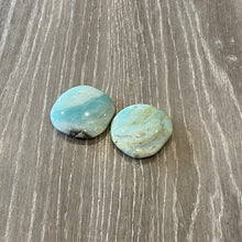 Load image into Gallery viewer, PALM STONES ( ASSORTED)