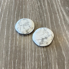 Load image into Gallery viewer, PALM STONES ( ASSORTED)