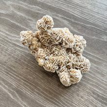 Load image into Gallery viewer, DESERT ROSE