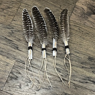 SMUDGING TURKEY FEATHER WITH SELENITE