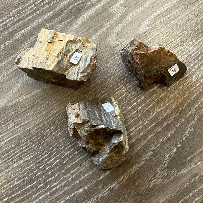 PETRIFIED WOOD CHUNKS