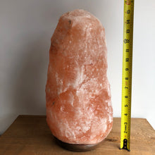 Load image into Gallery viewer, HIMALAYAN SALT LAMP (XXL) CURBSIDE PICK UP ONLY
