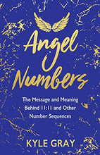 Load image into Gallery viewer, ANGEL NUMBERS by KYLE GREY
